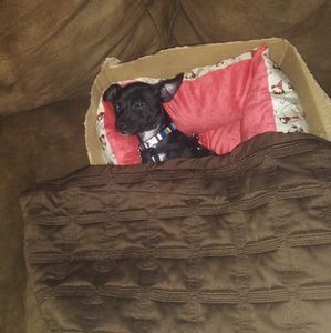 Meet your Posher, Hayden